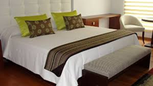 11) Pie de Cama en juego con almohadones